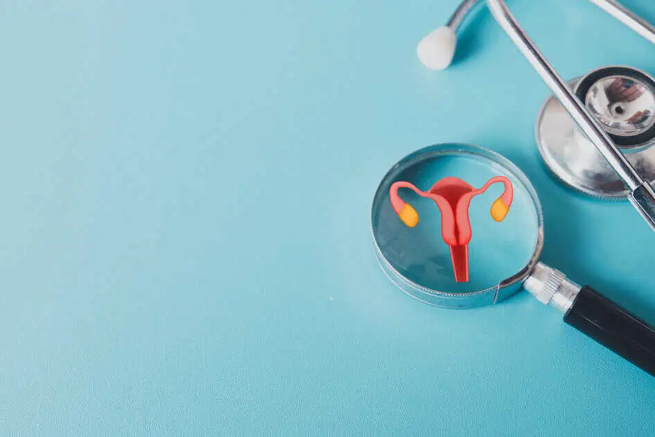 a magnifying glass with uterus inside